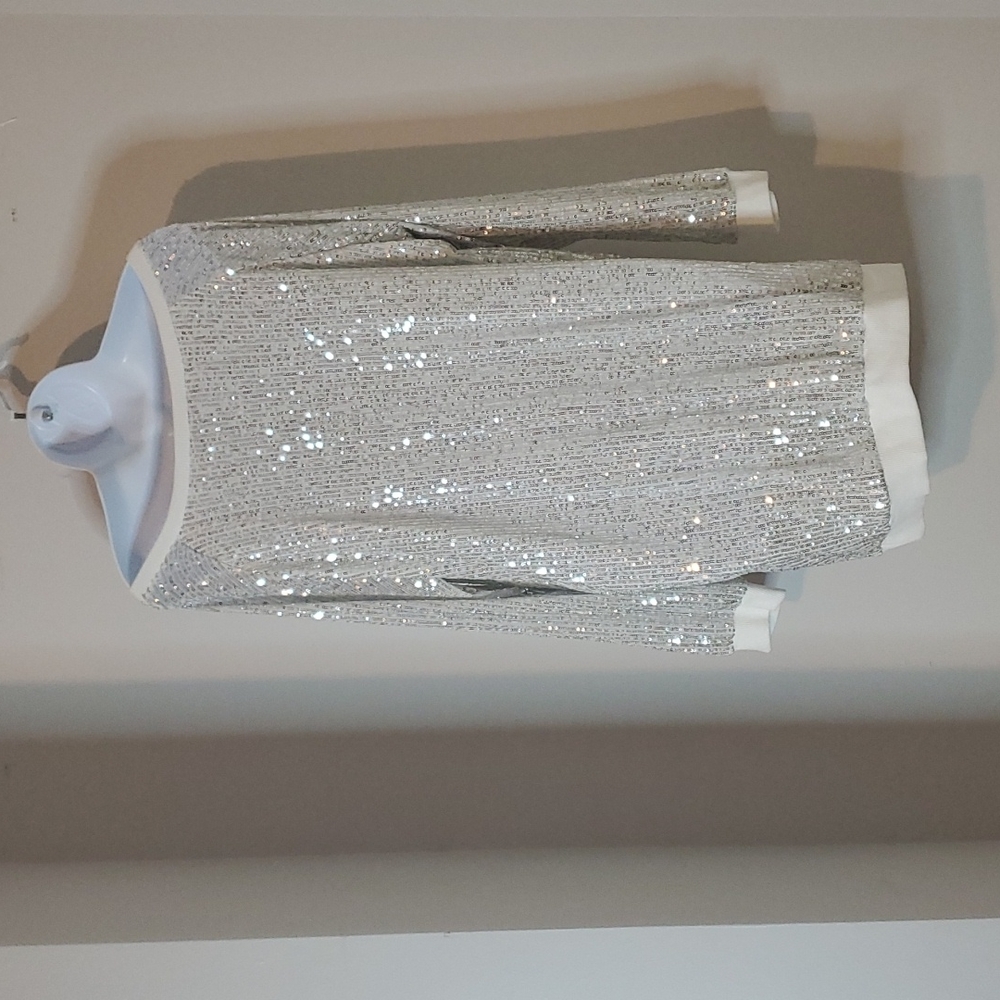 Sequin Dress - Picture 3 of 3